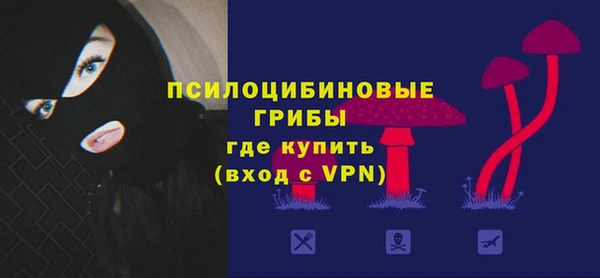ГАЛЛЮЦИНОГЕННЫЕ ГРИБЫ Алексин