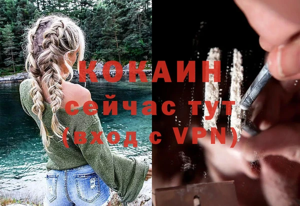 индика Алексеевка